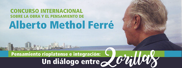 Ferre Methol slide