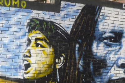 ESI: historia y debates en la conquista de un derecho