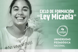 Ley Micaela: segundo encuentro