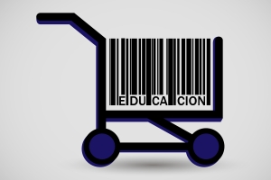 Informe Seminario: "Viejas y nuevas formas de mercantilizaci&oacute;n de la educaci&oacute;n"
