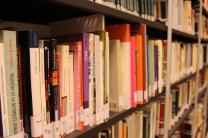Recomendaci&oacute;n Biblioteca Central UNIPE