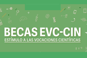 Becas EVC-CIN 2020. Resultados definitivos